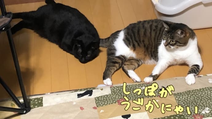 お百度?