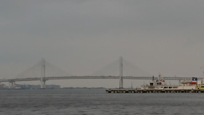 昨日の横浜は