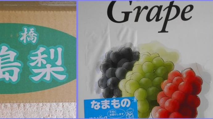 秋の味覚全開