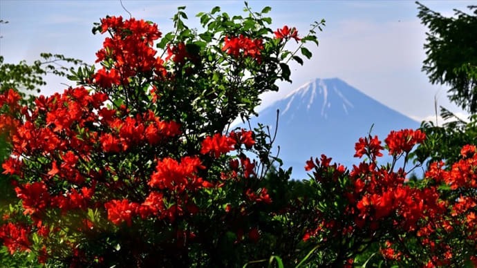 富士と・・・初夏