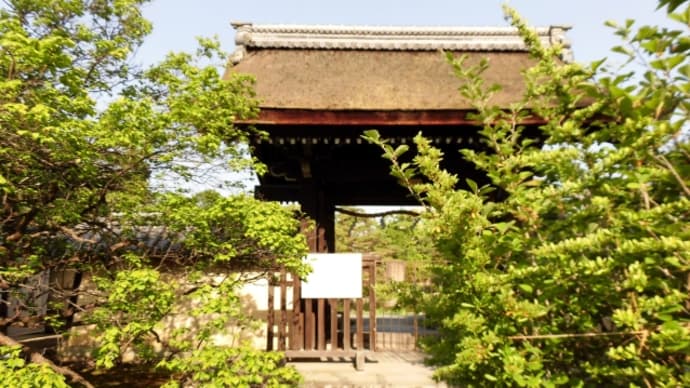 京都 梅宮大社Ⅱ
