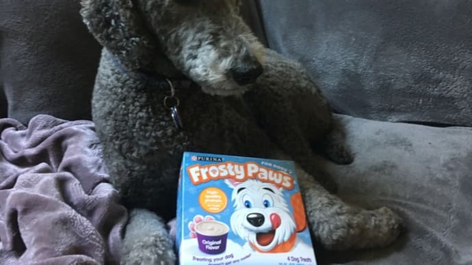 Frosty paws