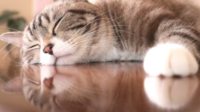 【気を付けたい隠れ睡眠不足って?】