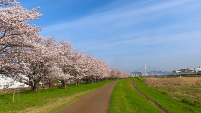 きょうの風景 ・・・ 4月7日 猪名川堤防ペダリングで