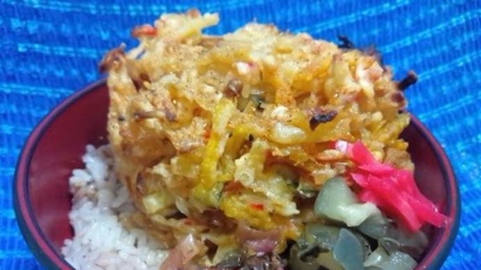 五目かき揚げなお総菜で昼食、そして100均から帰宅してぐたぁ~・・・なんだねXP