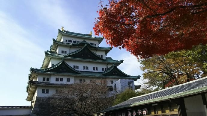 整体体操でする骨格調整と捻じきり