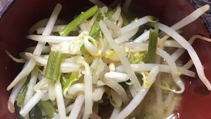 野菜不足を補うため追加 味噌汁