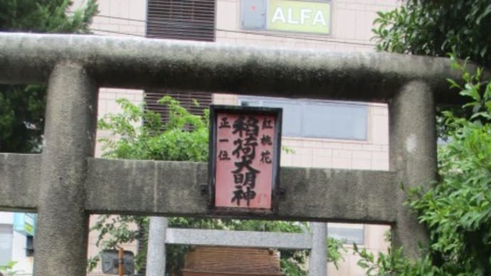 神社の境内で雨宿りしているネコちゃんたち・・・神さまもホッコリとされているのでしょうね  地域猫は爆睡中