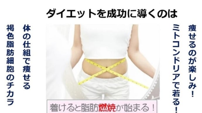 ダイエット 褐色脂肪細胞を活性化させて脂肪燃焼する方法のひとつを紹介