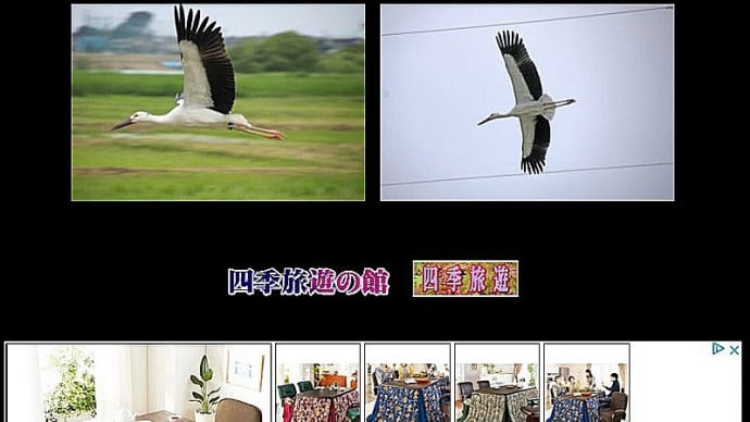 ホームページの編集とリハビリ