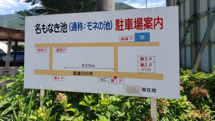 岐阜とベルギーの共通点