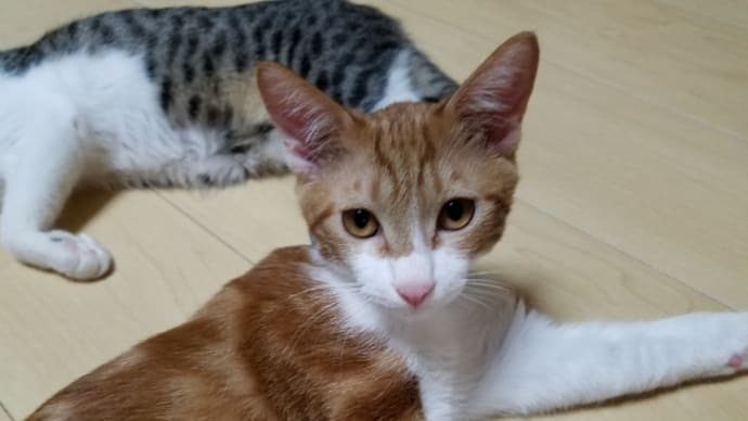 なんにもない