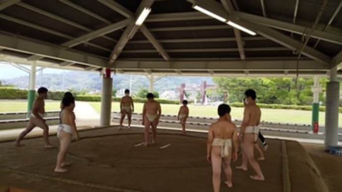 愛媛県総合運動公園の相撲場で稽古！