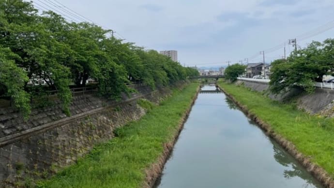 13日、袋川緑地サクラ害虫駆除