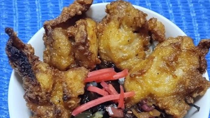 【01/10晩御飯】生命鶏もも唐揚げ、帰宅してから買い出しにいったんだね:P