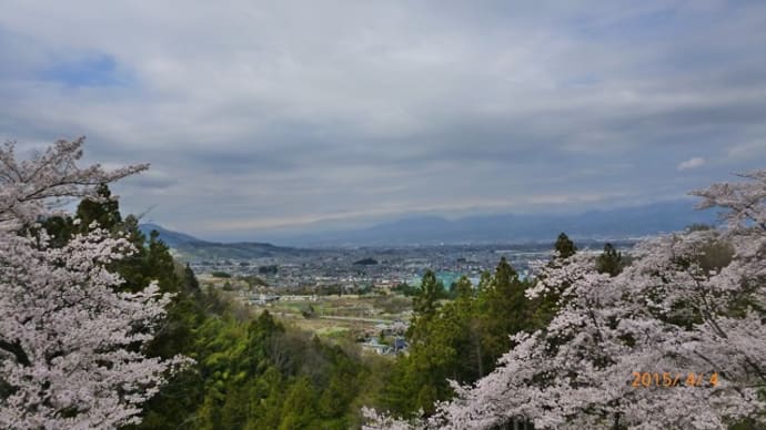 お花見残り‼