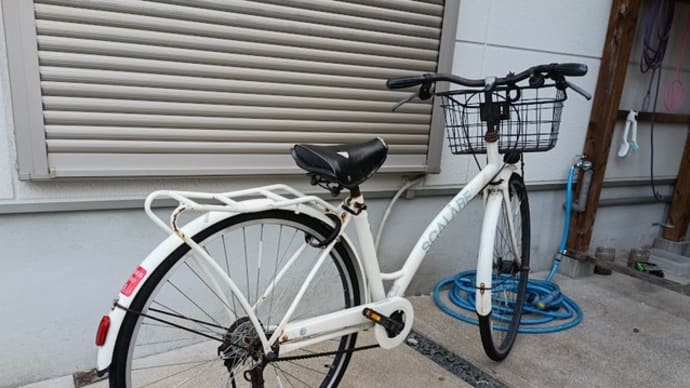 年末のサドル交換