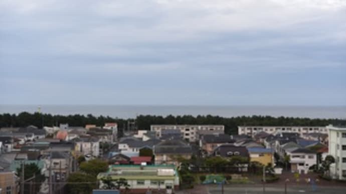 洗濯だ、洗濯
