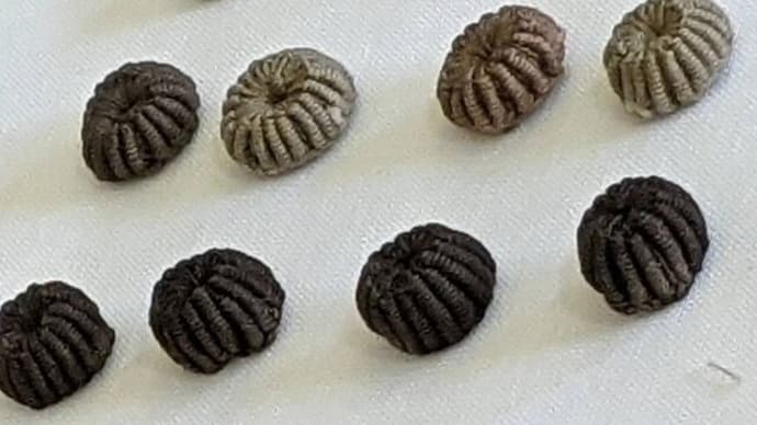 ぶどうの実にある手の揺らぎ
