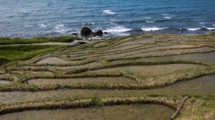 白米千枚田 in 石川県輪島市白米町