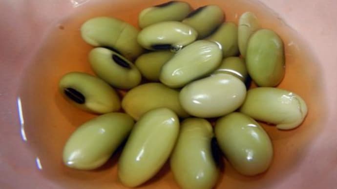 青大豆のひたし豆