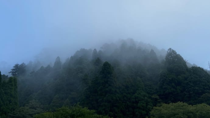 今朝の樋の谷〜おはようございます🤗💖