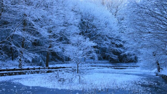 東京の雪景色