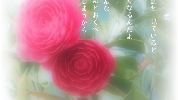 雲とイチヨウとライラックの共演