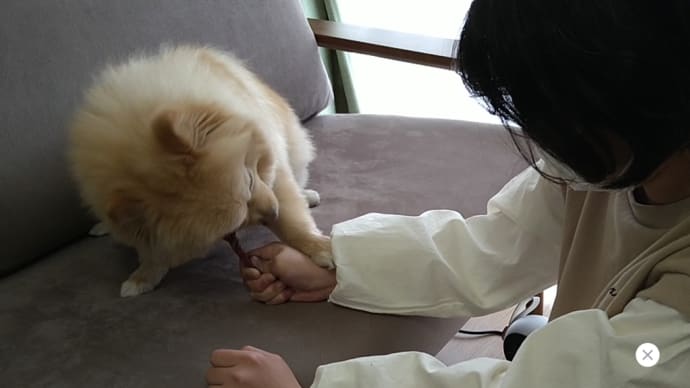 ほっこり