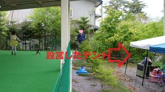 軽井沢旅行7(ドッグダンスファンマッチ、らしくダイニングキッチン)