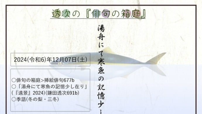 ■挿絵俳句677b「湯舟にて寒魚の記憶少し在り」(『遠景』2025)(鎌田透次)