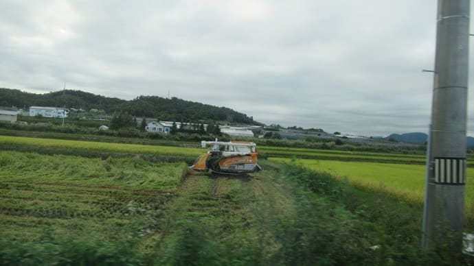 東沢バラ公園へ