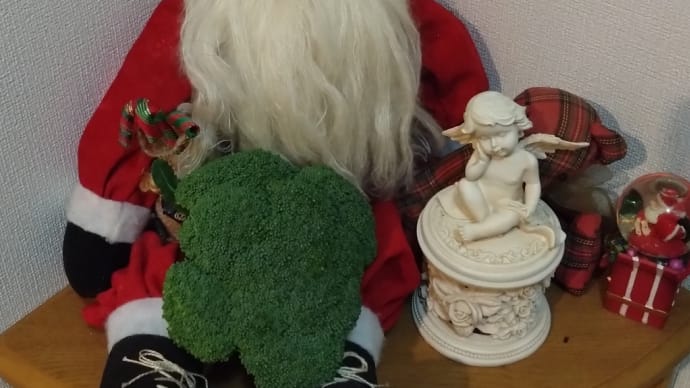 今年は夢ひびきを育てる 次々と収穫
