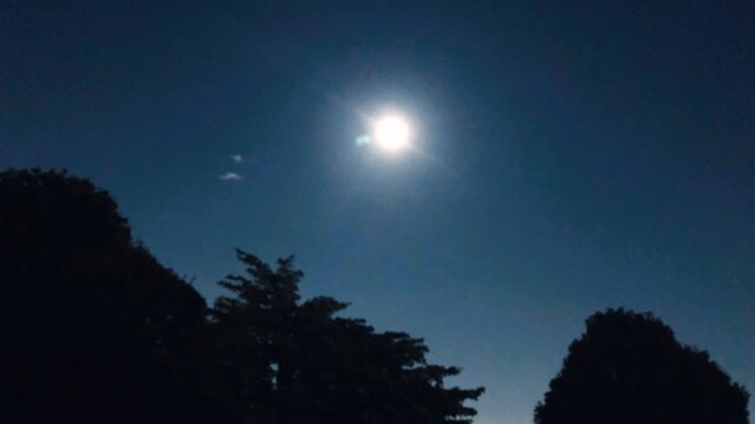 今夜は中秋の名月・・🌕🐇🍡