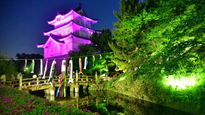 忍城「希望の光_2024年5月花手水🌷」