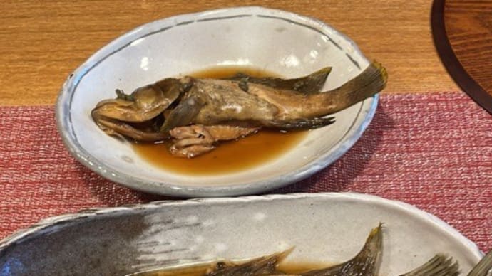 今日も頂き物で