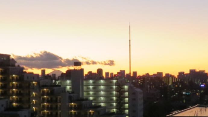 ◎初散歩と、夕焼けの富士山とスカイツリー:2021年