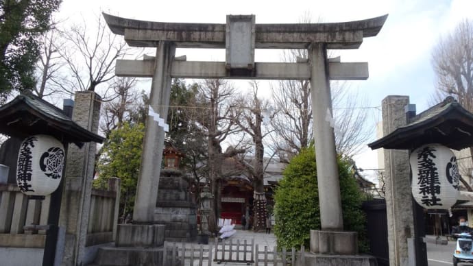 世間では「ひな祭り」終了後は、お雛様を早く片付けないと嫁に行き遅れますよと言いますが!