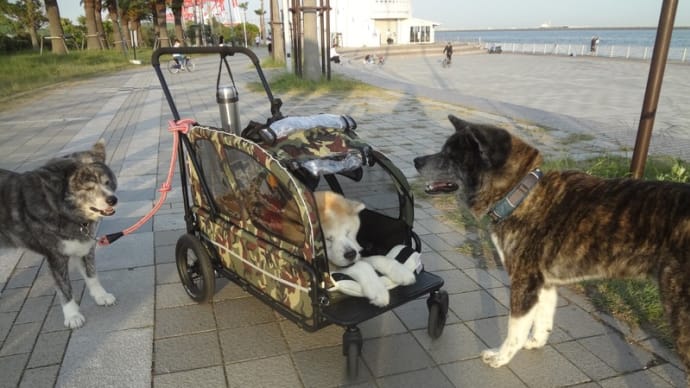 海沿いの公園~