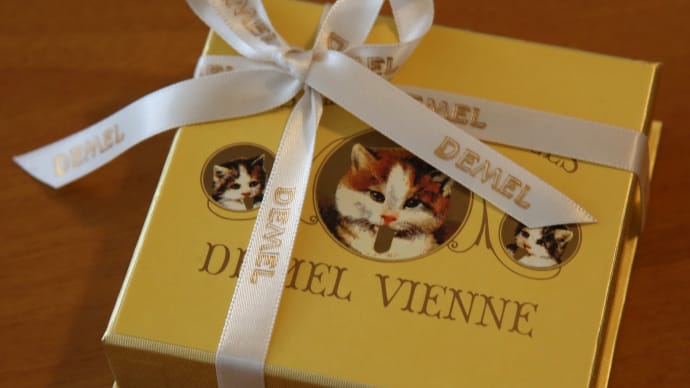 DEMELのチョコレート1