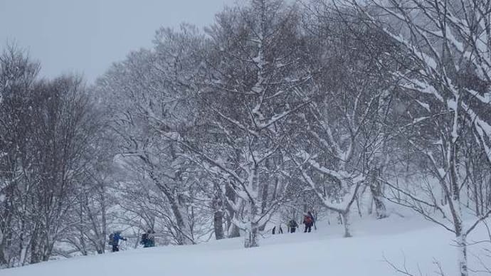 村山葉山 大鳥居~927P~東斜面 2021.01.28
