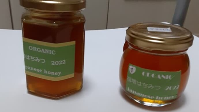 日本ミツバチ蜂蜜、採れました！