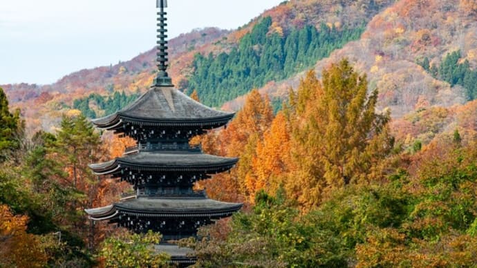 錦の山々…定義の秋。。