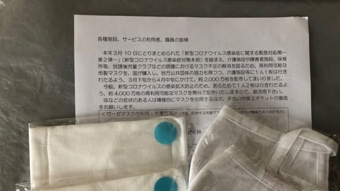 アベノマスク追加8000万枚早速届く! & 今日のトレーニング