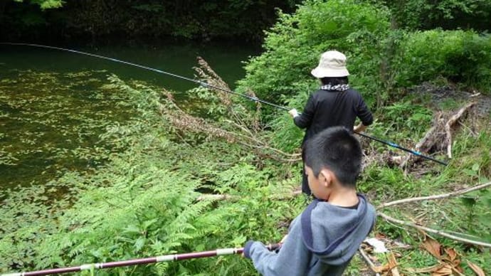 2009/07/06(月）：近くの池で・・・釣りいかが？