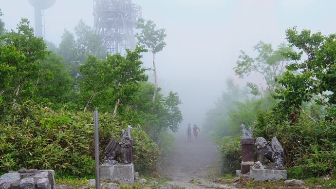 7月1日の手稲山