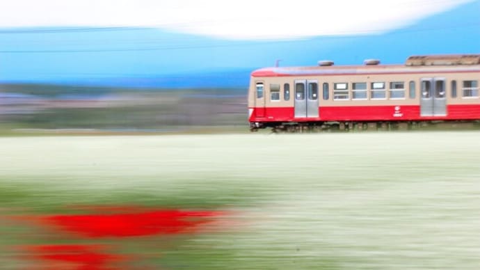 蕎麦畑と三岐鉄道