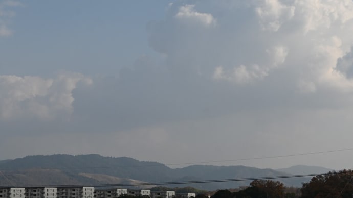 生駒山テレビ塔を眺める