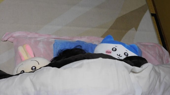 ハチワレとうさぎと娘