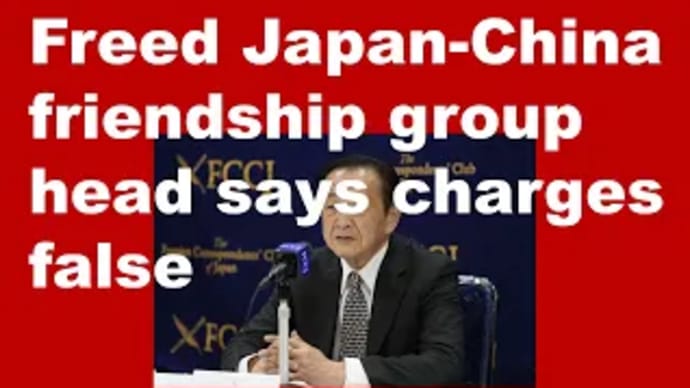 Freed Japan-China friendship group head says charges false.